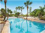 Community pool with palm trees surrounding it at ENCORE TROPICAL PALMS - thumbnail