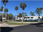 RVs and trailers at campground at ENCORE TROPICAL PALMS - thumbnail
