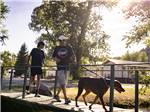 Campers walking a dog at OUTDOORSY BAYFIELD - thumbnail