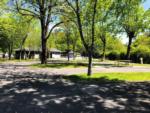 Paved sites with trees at FOOTHILLS RV PARK & CABINS - thumbnail