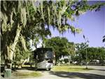 View larger image of Motorhome under the canopy of a tree at HOLLYWOOD CASINO RV PARK- GULF COAST image #7