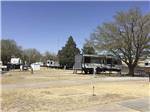 View larger image of A bunch of RV sites with trees at CAMELOT VILLAGE RV PARK image #7
