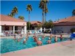 View larger image of Men and women playing volleyball in the pool at FIESTA GRANDE RV RESORT image #5