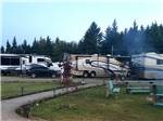 View larger image of Row of big rigs next to grass area at TILLAMOOK BAY CITY RV PARK image #2