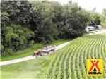 View larger image of People riding in a wagon being pulled by a tractor at MILTON KOA image #8