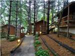 Several cabins on each side at Shipshewana Campground North Park & Amish Log Cabin Lodging - thumbnail