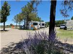 View larger image of A van conversion in an RV site at BLUE SPRUCE RV PARK image #8