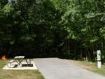 Open RV space at Jellystone Park Petoskey - thumbnail