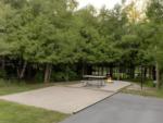 Open RV space next to panic area at Jellystone Park Petoskey - thumbnail