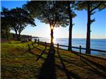 A view of the ocean and trees at dusk - thumbnail
