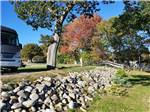 Fall trees near RV sites - thumbnail