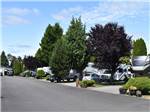 A row of paved RV sites at MIDWAY RV PARK - thumbnail