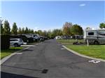 The paved road between the RV sites at RV RESORT FOUR SEASONS - thumbnail