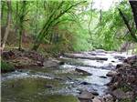 View larger image of Creek at AUBURN RV PARK AT LEISURE TIME CAMPGROUND image #2