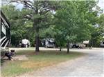 Trees around the campsites at NAKATOSH CAMPGROUND - thumbnail