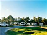 View larger image of A grassy area next to the RV sites at QUILLYS MAGNOLIA RV PARK image #12