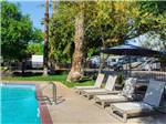 Lounge chairs situated pool side at WALNUT RV PARK - thumbnail