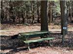 Picnic table on site - thumbnail