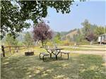 View larger image of Picnic table with campsite in background at WHISTLER GULCH CAMPGROUND  RV PARK image #6