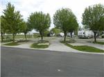A row of paved pull thru sites at COTTONWOODS RV PARK - thumbnail