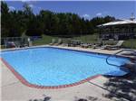 View larger image of The swimming pool area at COTTONWOODS RV PARK image #5