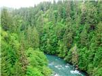 Aerial shot of white water between forested banks at ELWHA DAM RV PARK - thumbnail