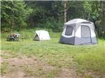 Two tents and picnic table in a meadow at ELWHA DAM RV PARK - thumbnail