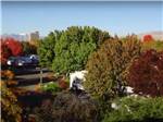 View larger image of Trees surrounding the RV sites in fall at VICTORIAN RV PARK image #2