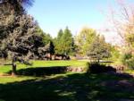 Landscape lawn and trees at ON THE RIVER GOLF & RV RESORT - thumbnail