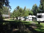 Green lawn, trees, RVs in background at landscape lawn and trees at ON THE RIVER GOLF & RV RESORT - thumbnail