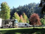 RVs parked with trees and evergreen mountain in background at ON THE RIVER GOLF & RV RESORT - thumbnail
