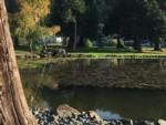 Large pond surrounded by lawn, trees and RV in background at ON THE RIVER GOLF & RV RESORT - thumbnail