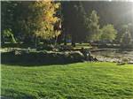 Landscaped lawn RVs in background - thumbnail