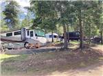 A group of RV sites under trees at MOUNTAIN MEADOW RV PARK & CABINS - thumbnail