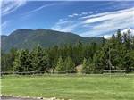 A large grassy meadow at MOUNTAIN MEADOW RV PARK & CABINS - thumbnail