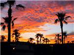 Sunset view at SUN LIFE RV RESORT - thumbnail
