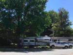 Motorhomes parked in campsites at BEACON RV PARK - thumbnail