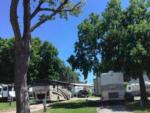 Campers under shady trees, in sites at BEACON RV PARK - thumbnail