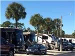 View larger image of A line up of RV in sites at IMPERIAL BONITA ESTATES RV RESORT image #3