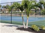 View larger image of A view of the tennis courts at IMPERIAL BONITA ESTATES RV RESORT image #4