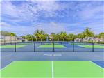 The pickleball courts - thumbnail