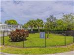 Enclosed Tiny Tails dog park - thumbnail