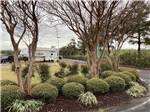 View larger image of A planter with trees at HOLLYWOOD CASINO HOTEL  RV PARK image #9