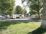 Multiple RVs parked on-site at DRIFTWOOD RV PARK - thumbnail