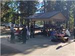 View larger image of A group of people eating at WHISPERING PINES RV CAMPGROUND image #10