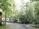 The road going thru the campground at CREEKWOOD RESORT - thumbnail