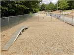 View larger image of The fenced in dog area at COLD SPRINGS CAMP RESORT image #10