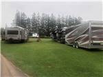 Multiple RVs parked on-site at BORDEN/SUMMERSIDE KOA - thumbnail