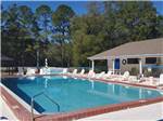 View larger image of The pool area with chairs at BLUE PARROT RV RESORT image #1
