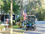 View larger image of A golf cart driving down the road at BLUE PARROT RV RESORT image #2